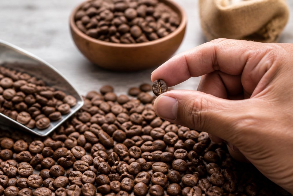 How to Tell If Coffee Beans Are Fresh: 2026 Guide
