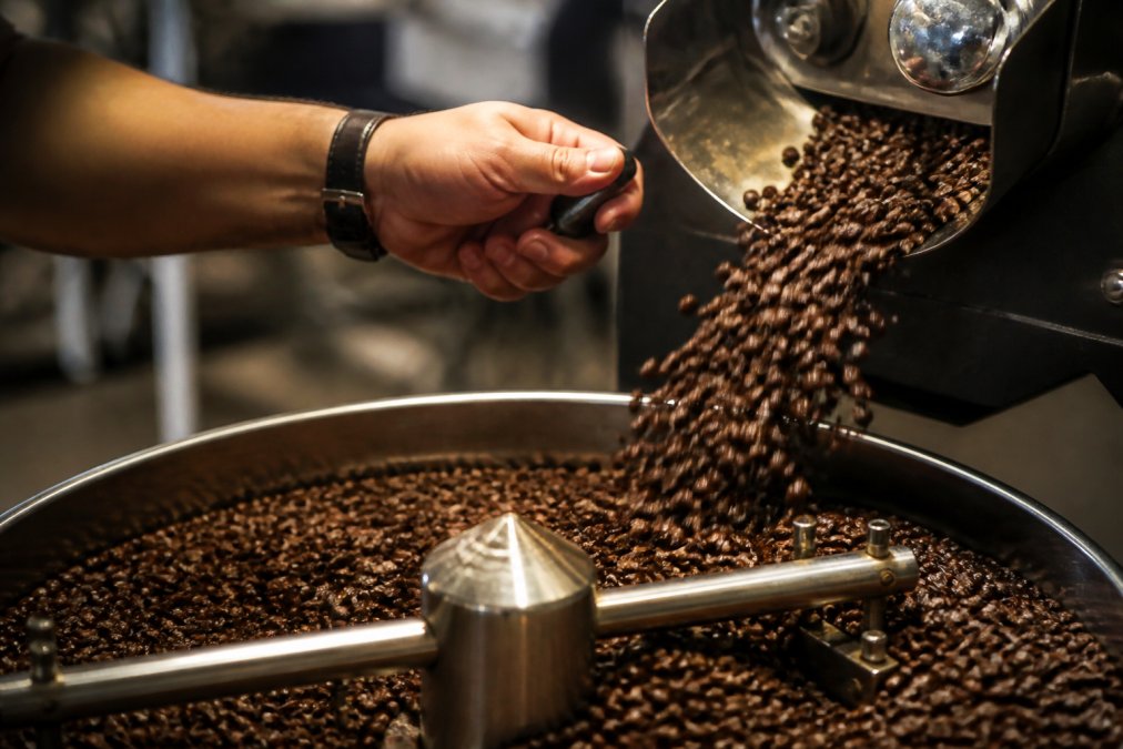 Is Freshly Roasted Coffee Better? The Real Story